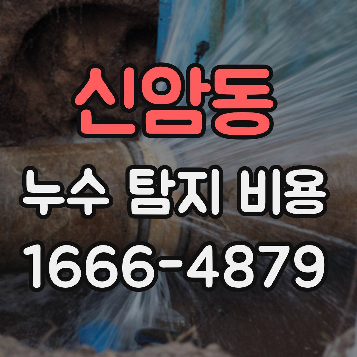 신암동 누수 탐지 비용