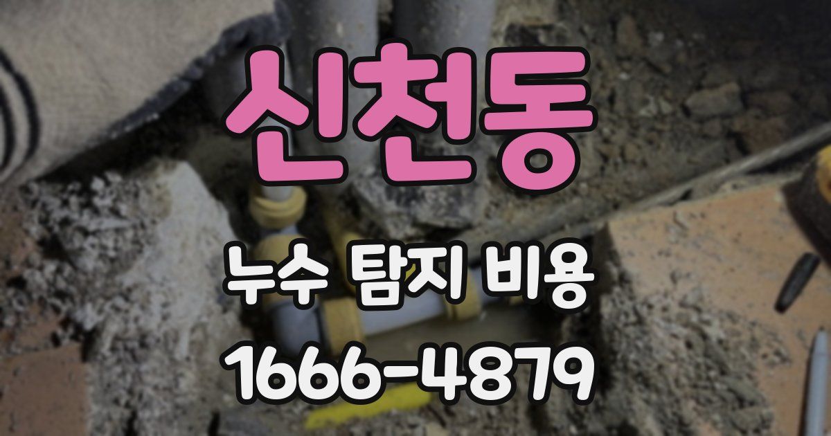 신천동 누수 탐지 비용