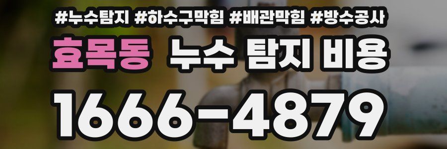 효목동 누수 탐지 비용