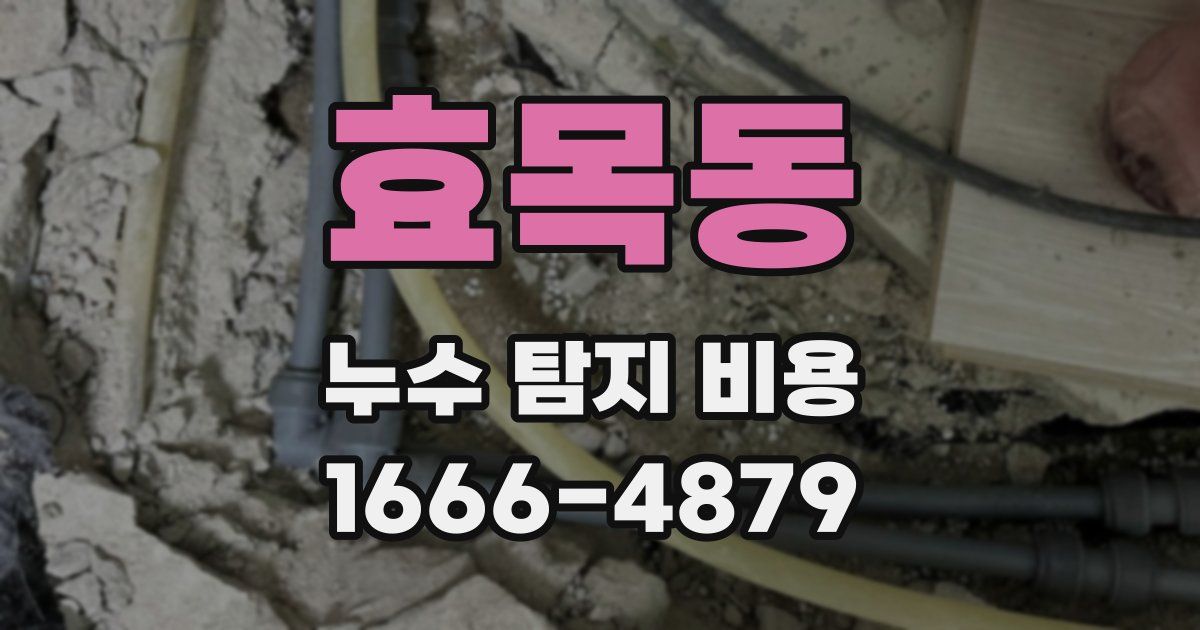 효목동 누수 탐지 비용