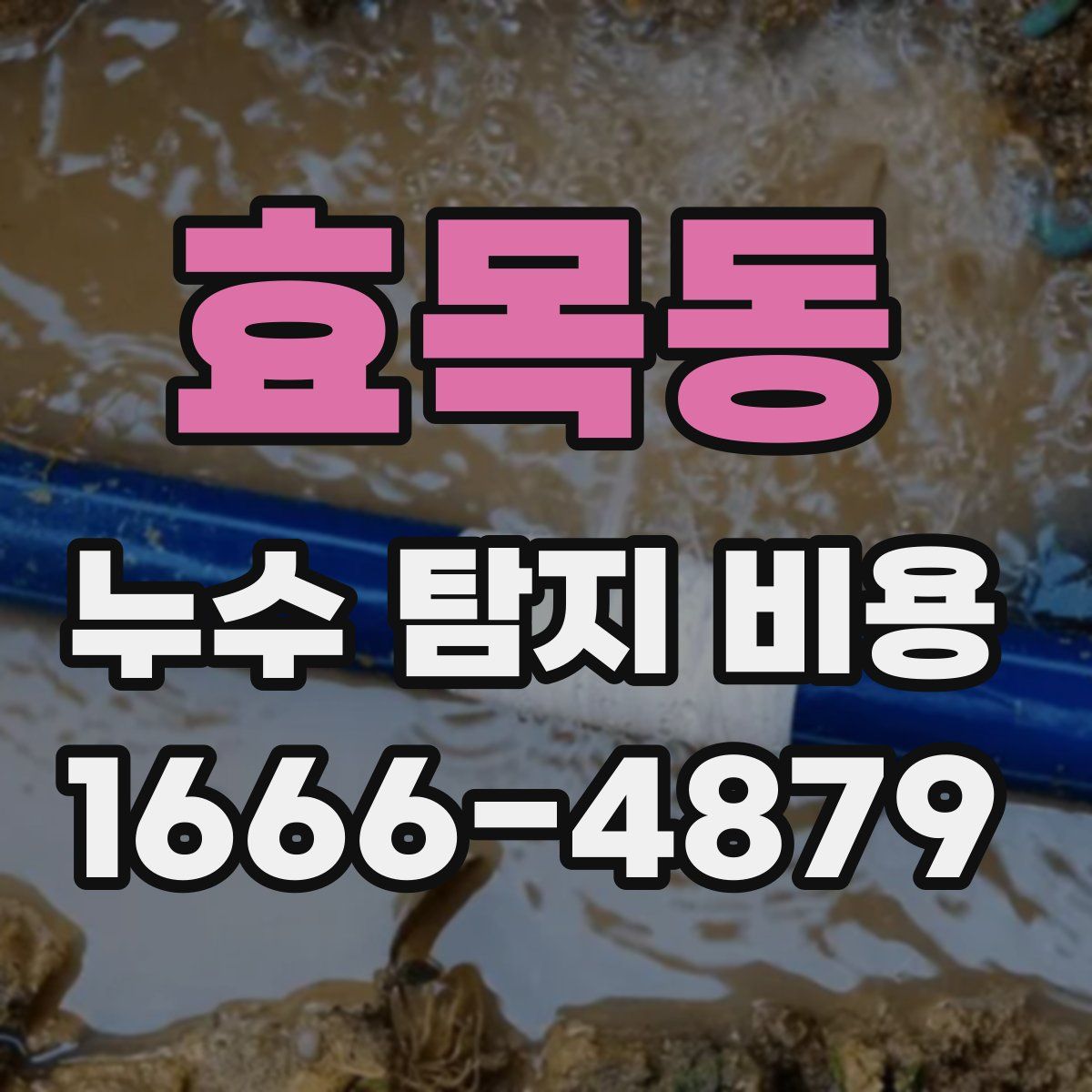효목동 누수 탐지 비용