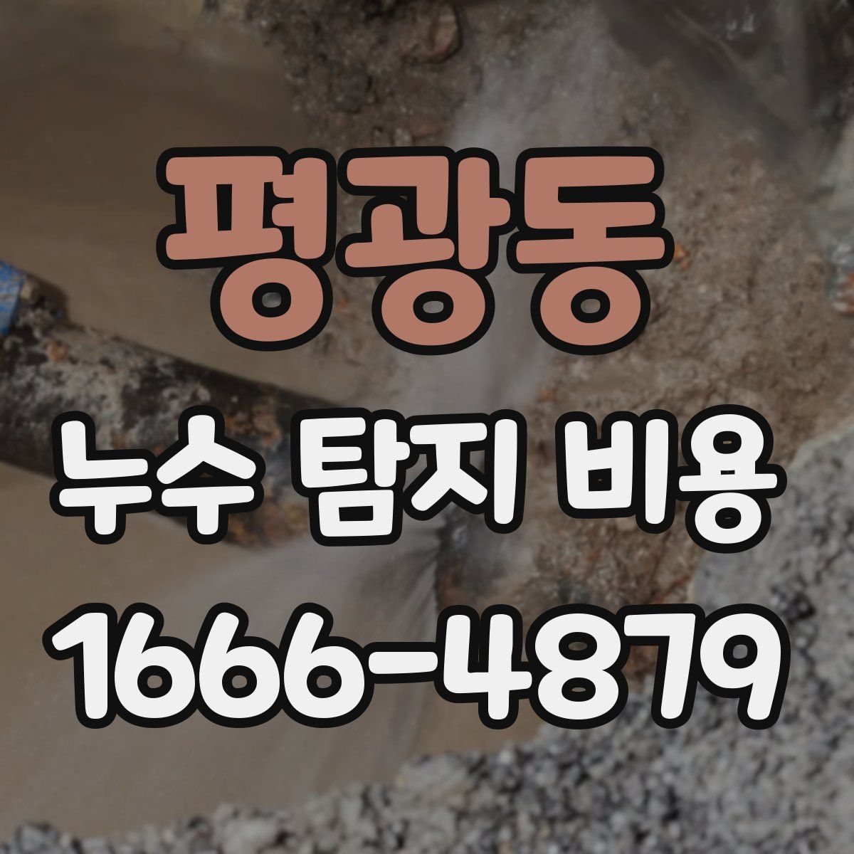 평광동 누수 탐지 비용