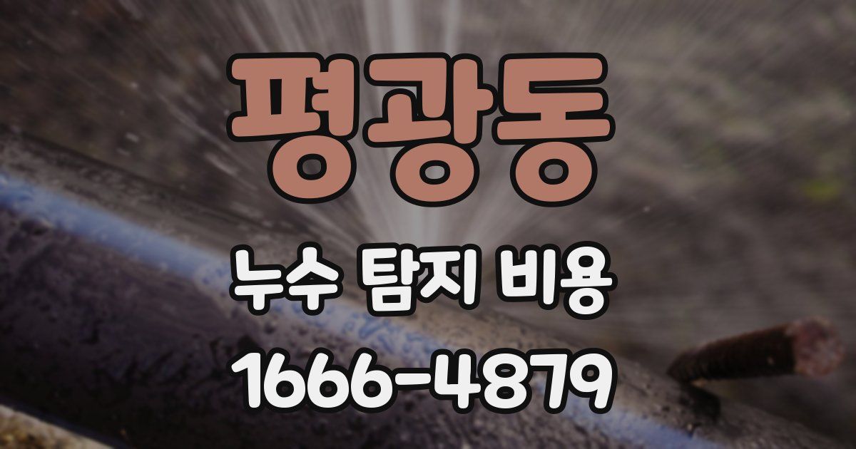 평광동 누수 탐지 비용