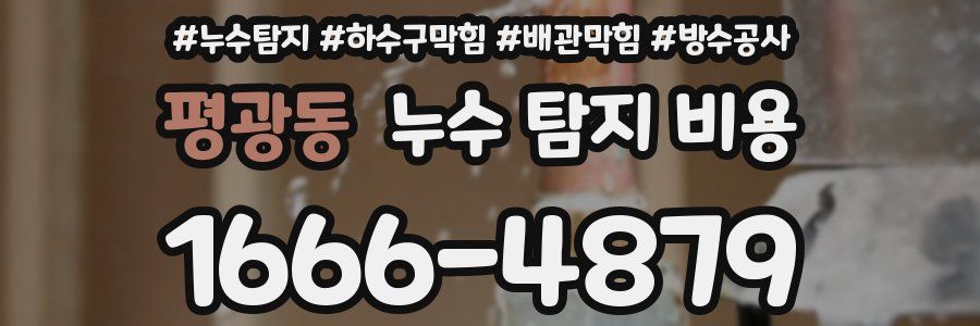 평광동 누수 탐지 비용