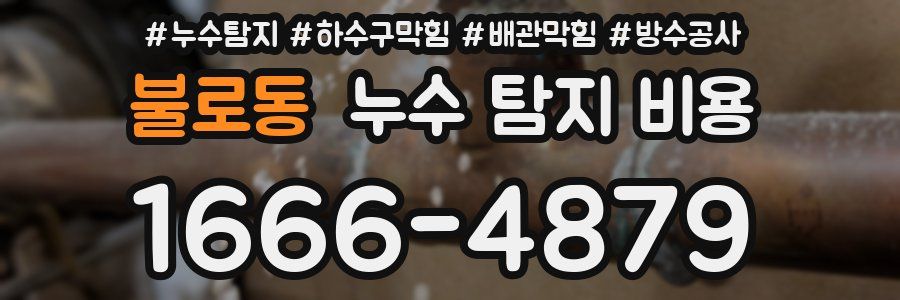 불로동 누수 탐지 비용