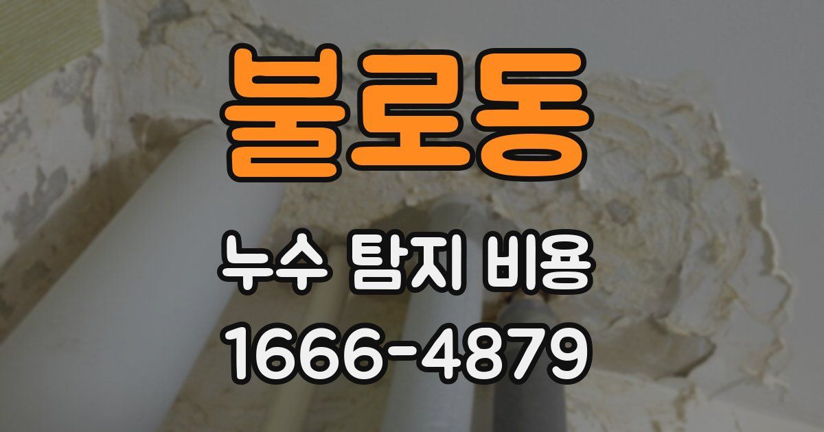 불로동 누수 탐지 비용