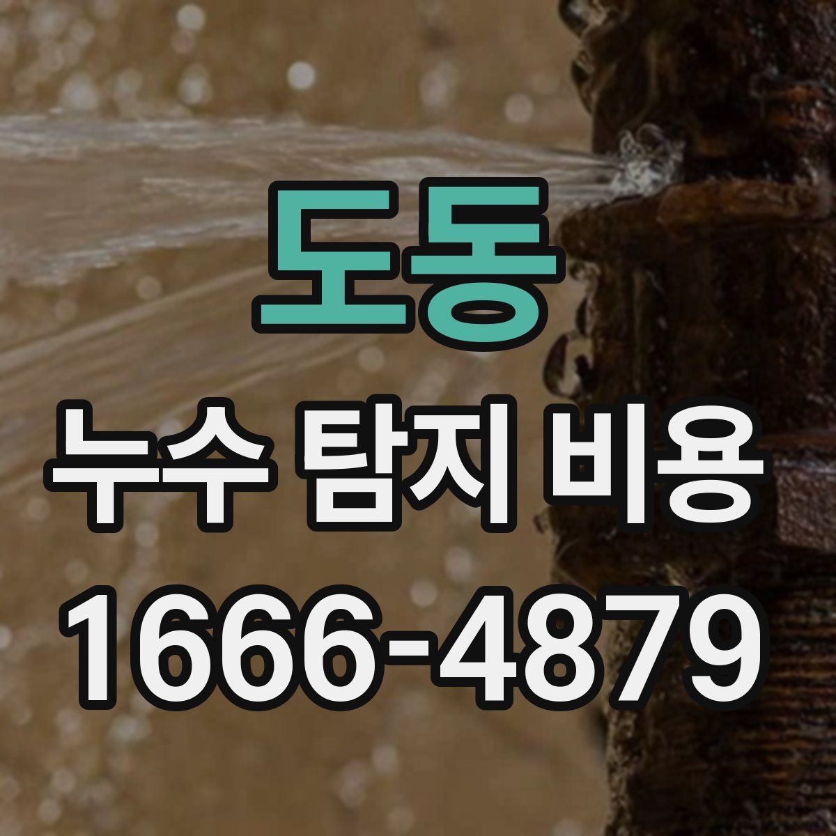 도동 누수 탐지 비용