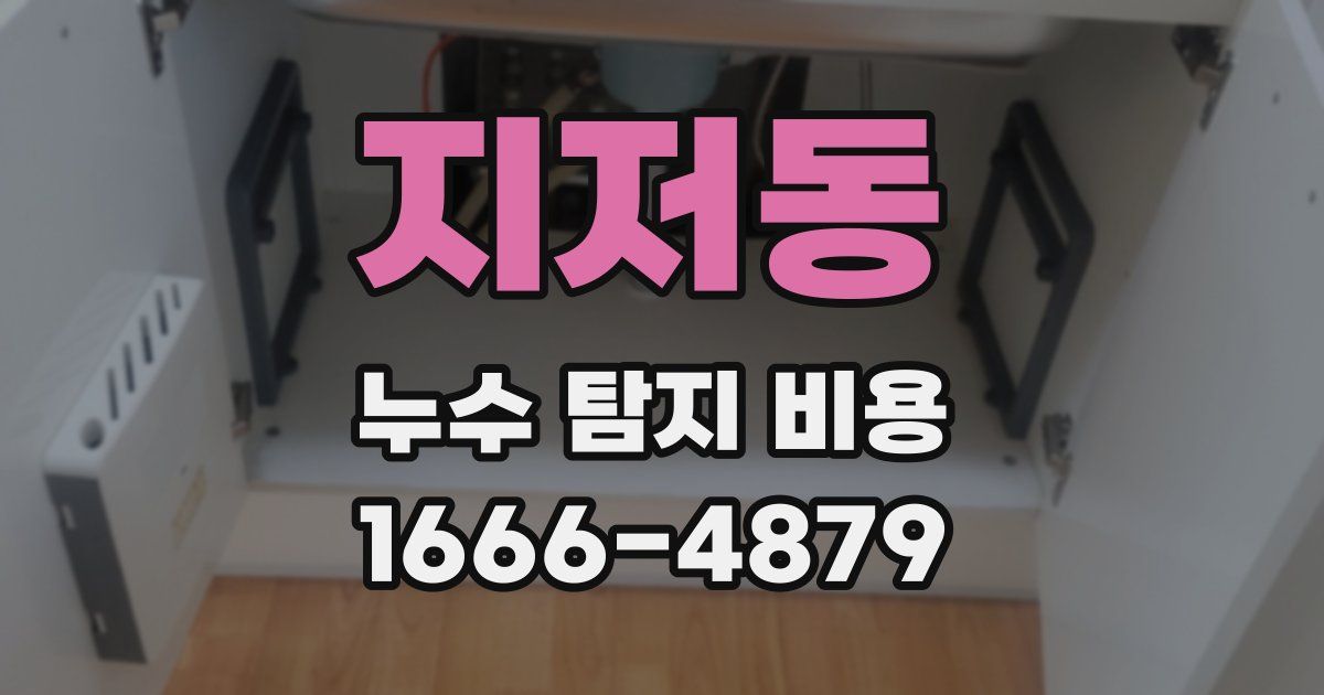 지저동 누수 탐지 비용