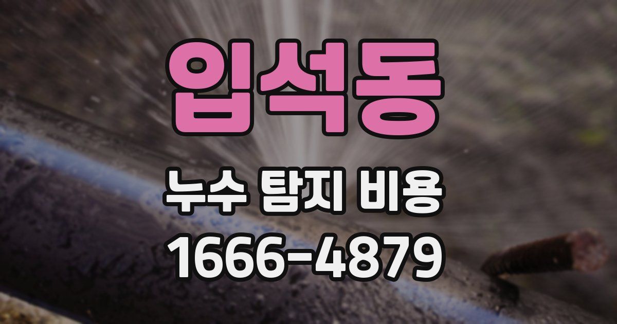 입석동 누수 탐지 비용