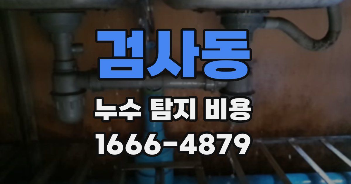 검사동 누수 탐지 비용