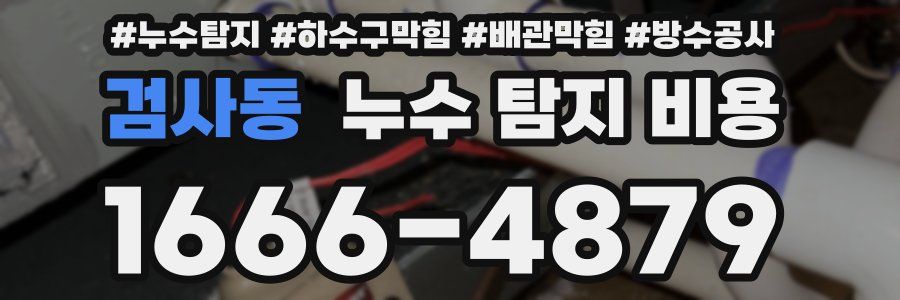 검사동 누수 탐지 비용