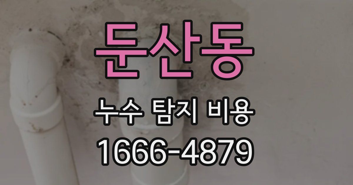 둔산동 누수 탐지 비용
