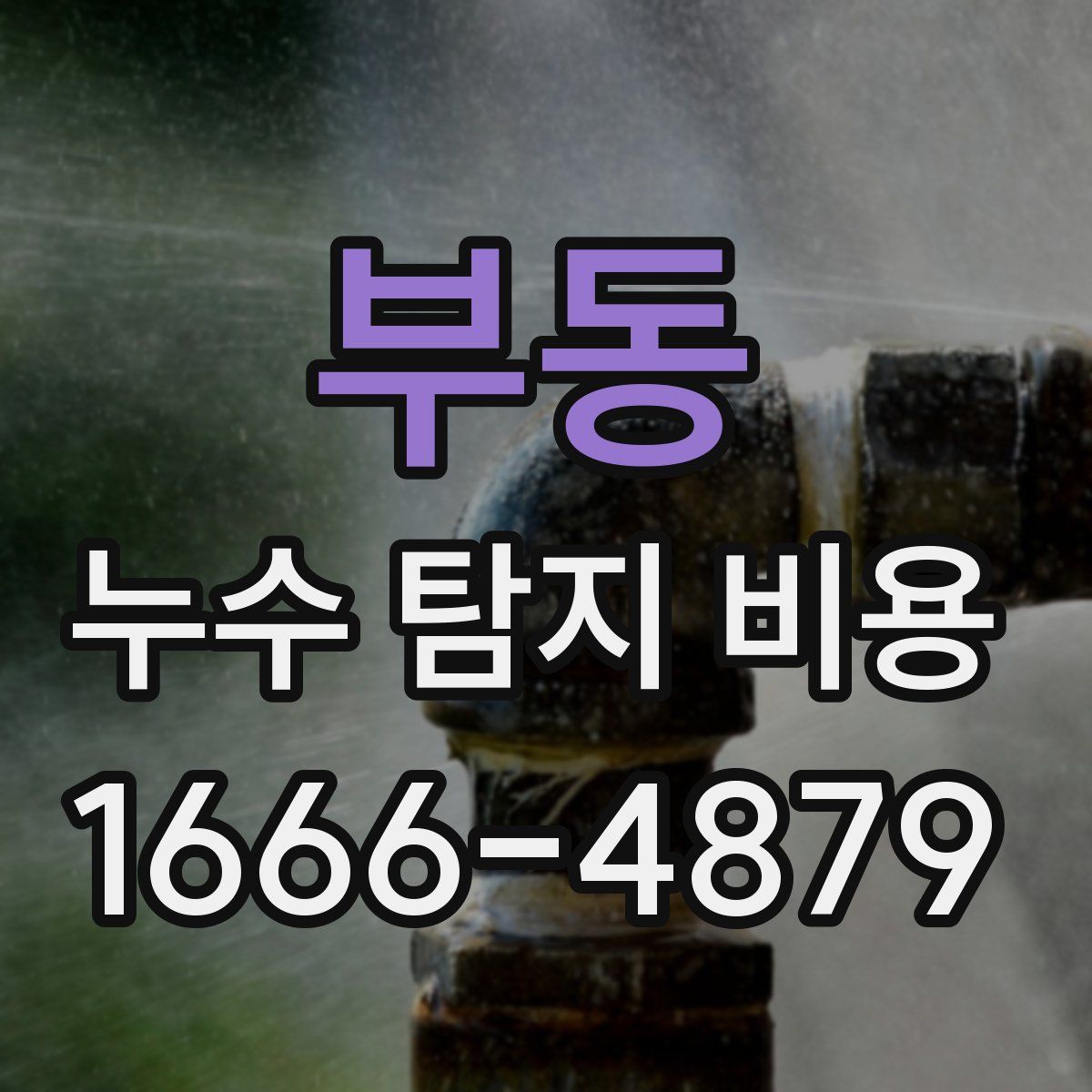 부동 누수 탐지 비용