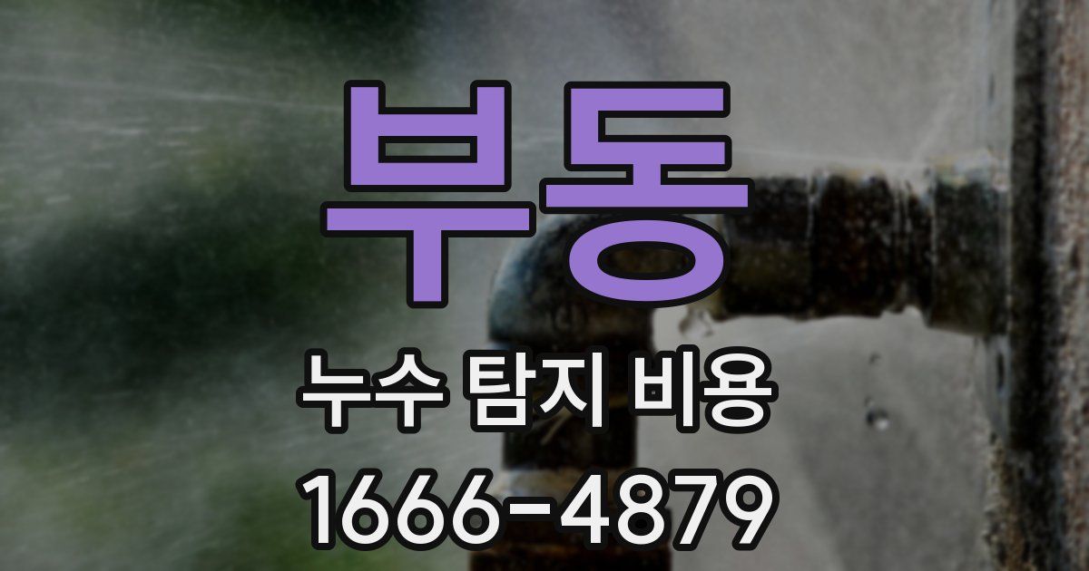부동 누수 탐지 비용