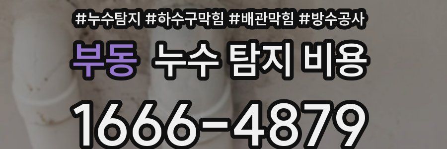 부동 누수 탐지 비용