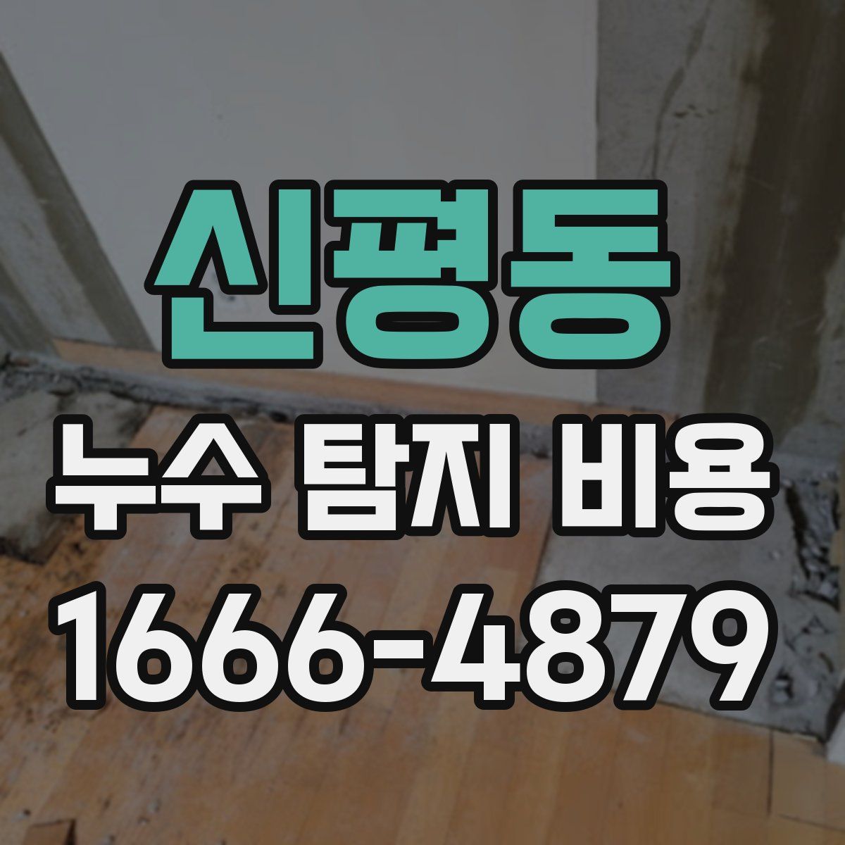 신평동 누수 탐지 비용