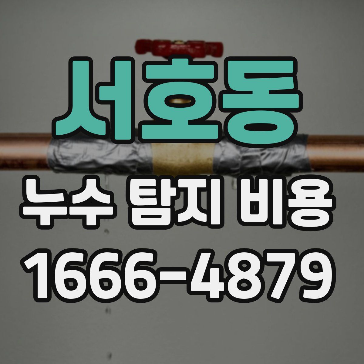 서호동 누수 탐지 비용