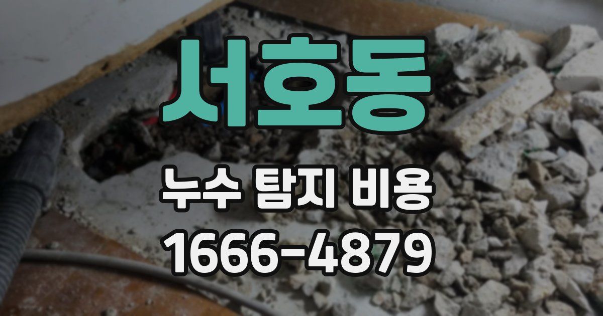 서호동 누수 탐지 비용
