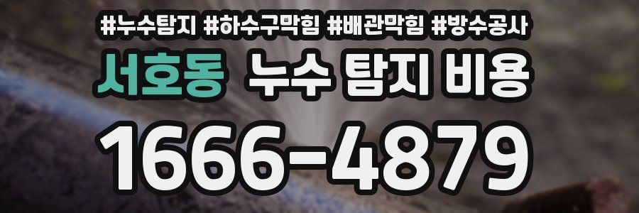 서호동 누수 탐지 비용