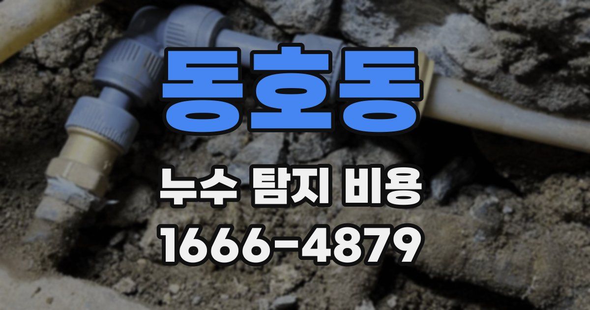 동호동 누수 탐지 비용