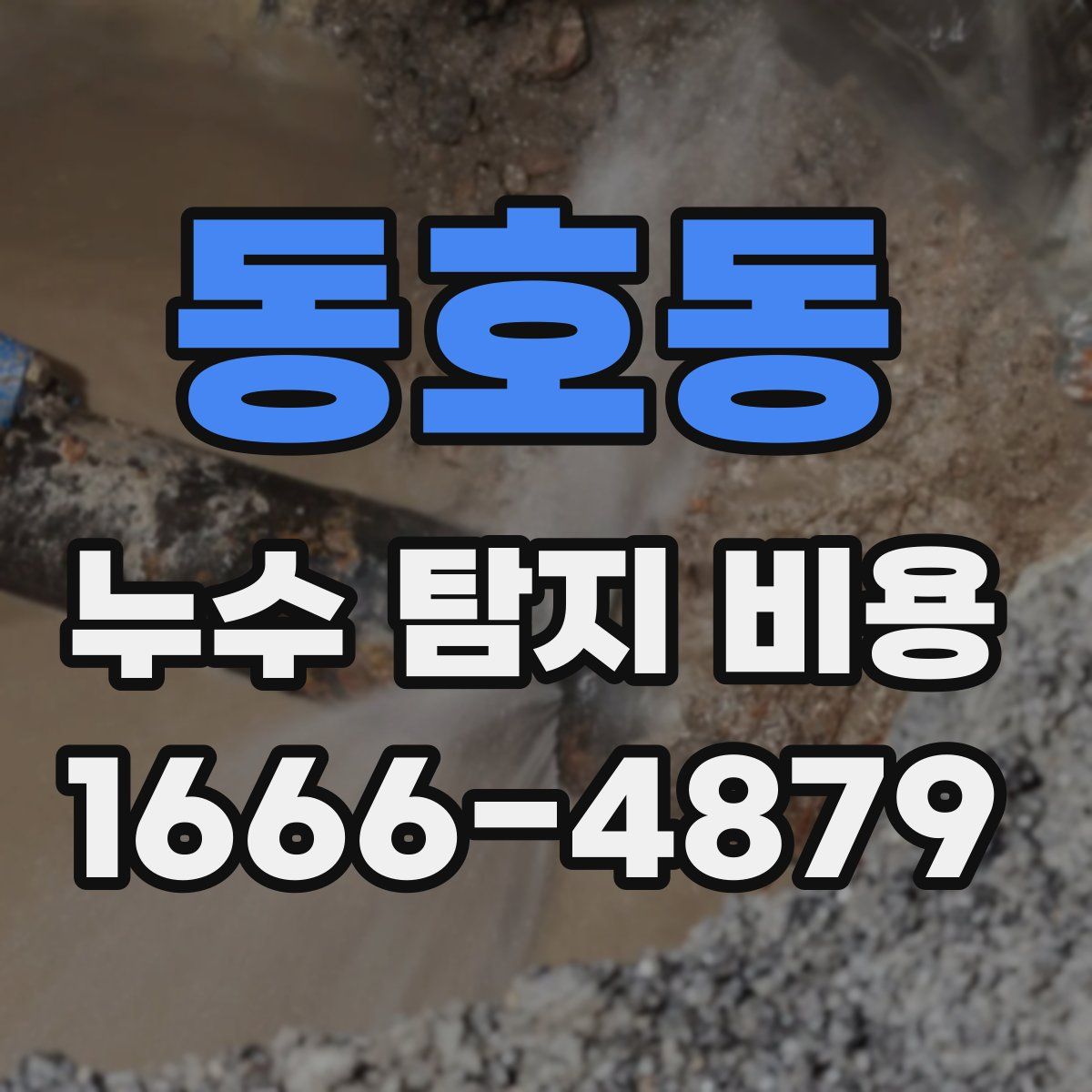 동호동 누수 탐지 비용