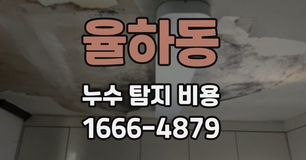 율하동 누수 탐지 비용
