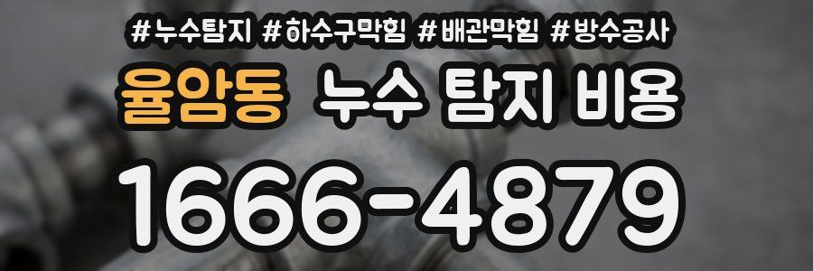 율암동 누수 탐지 비용