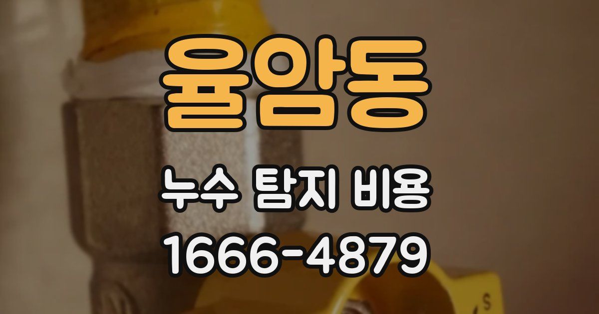 율암동 누수 탐지 비용