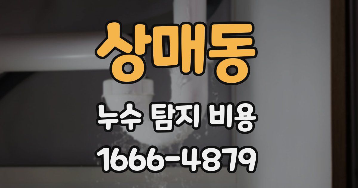 상매동 누수 탐지 비용