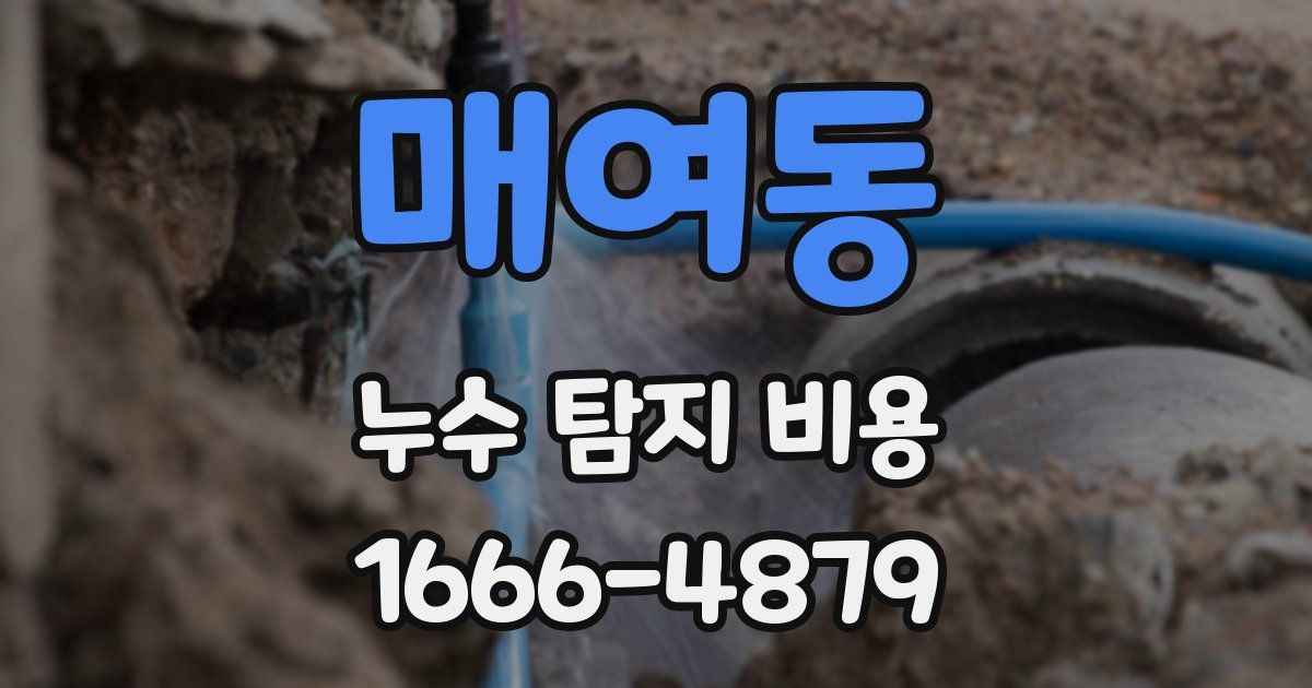 매여동 누수 탐지 비용