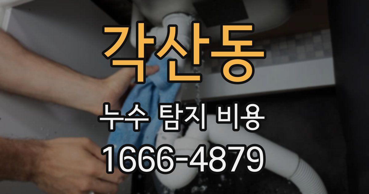 각산동 누수 탐지 비용