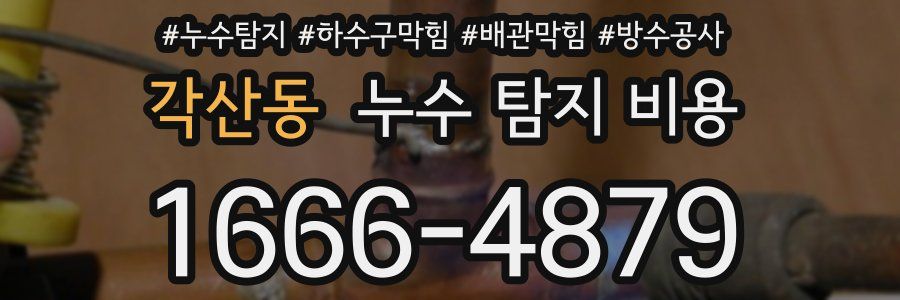 각산동 누수 탐지 비용