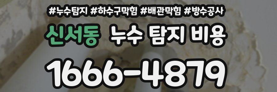 신서동 누수 탐지 비용