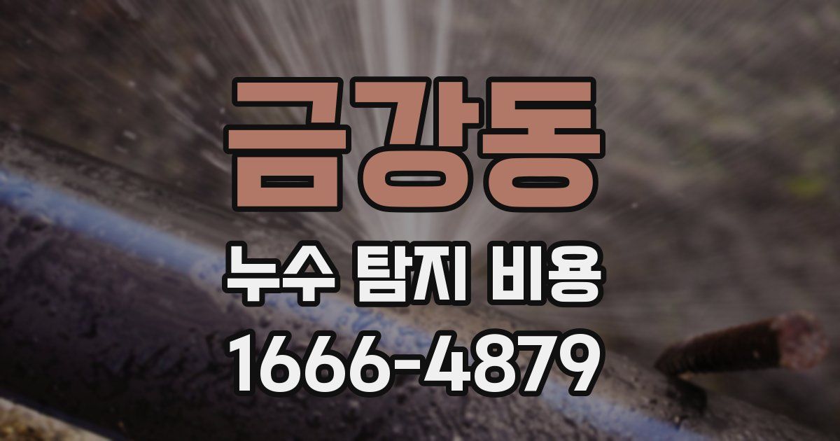 금강동 누수 탐지 비용
