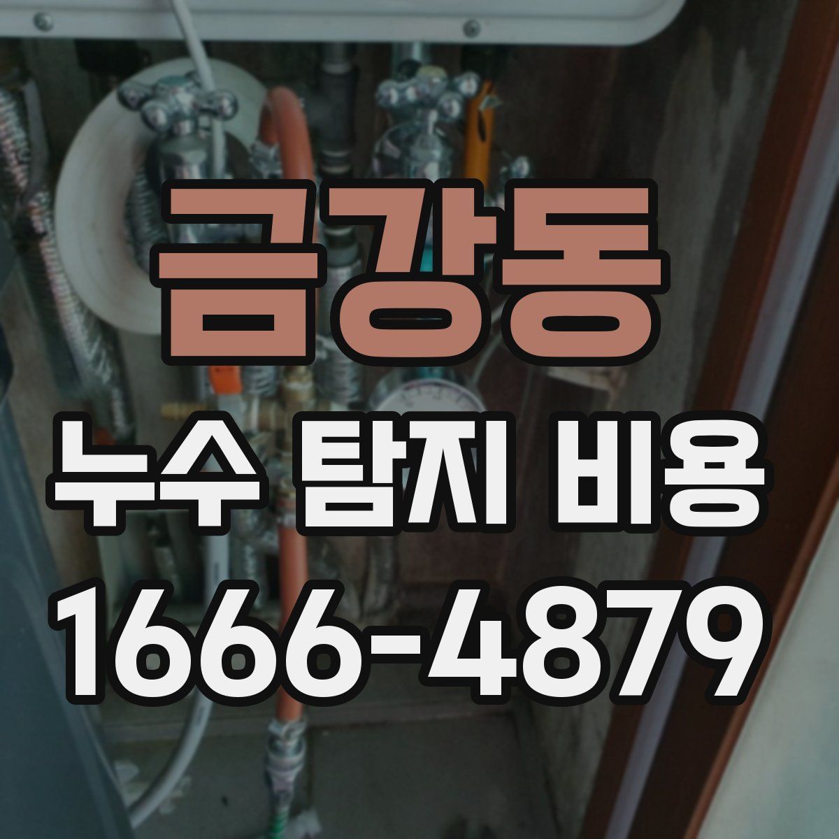 금강동 누수 탐지 비용