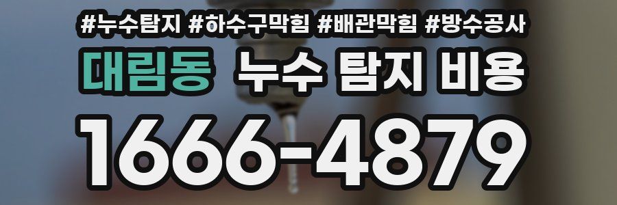 대림동 누수 탐지 비용