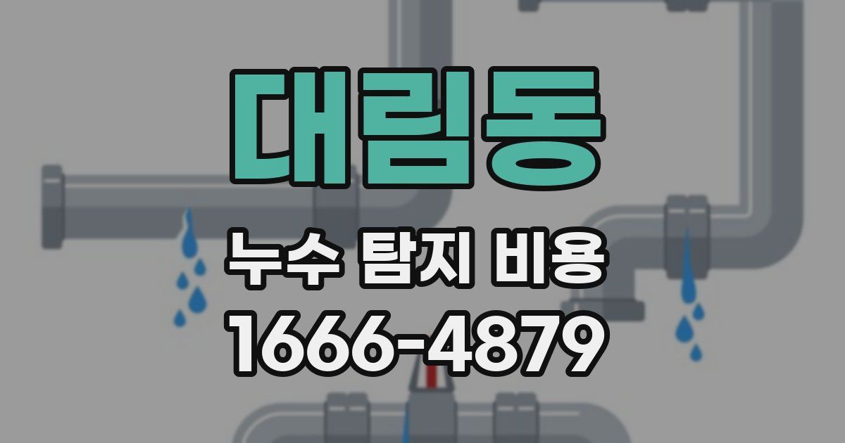대림동 누수 탐지 비용