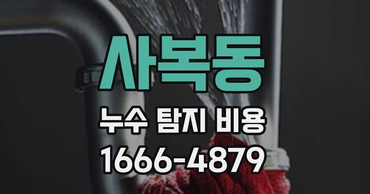사복동 누수 탐지 비용