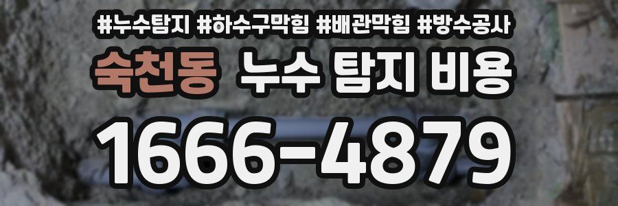 숙천동 누수 탐지 비용