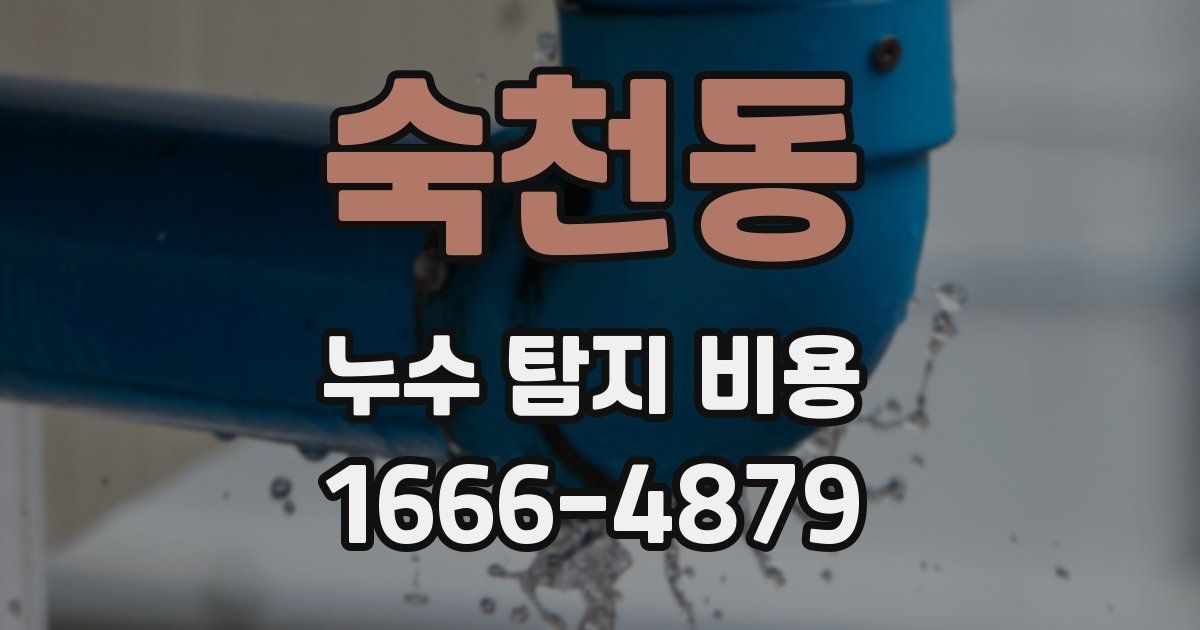 숙천동 누수 탐지 비용