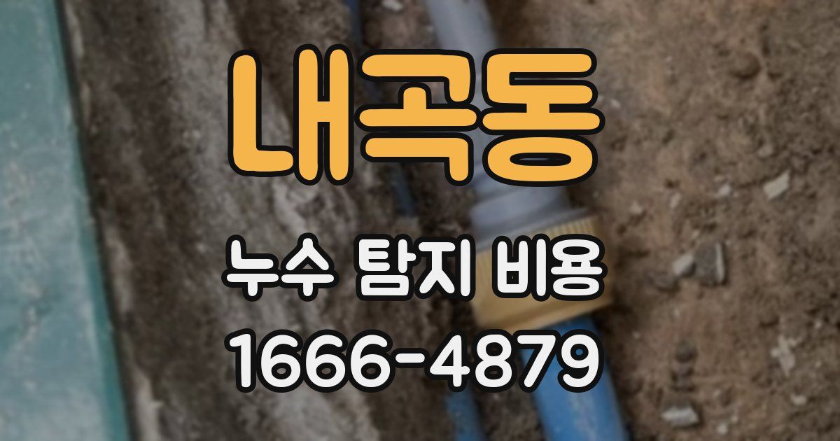 내곡동 누수 탐지 비용
