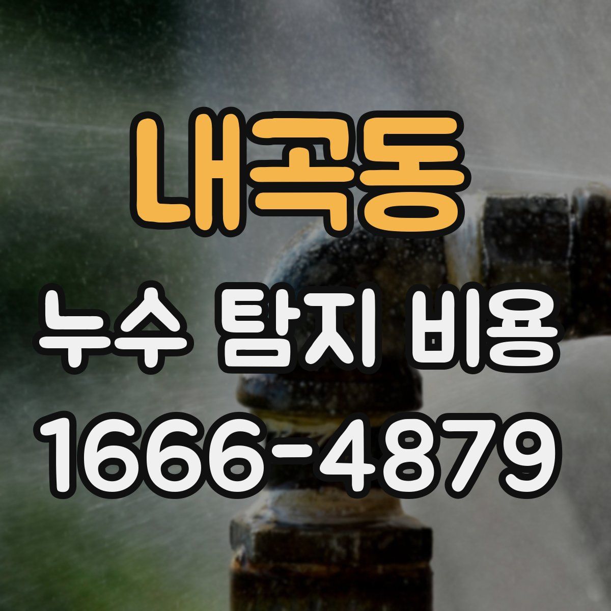 내곡동 누수 탐지 비용