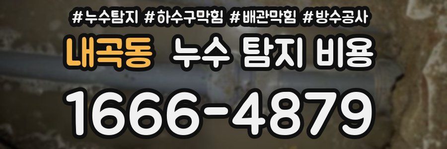 내곡동 누수 탐지 비용