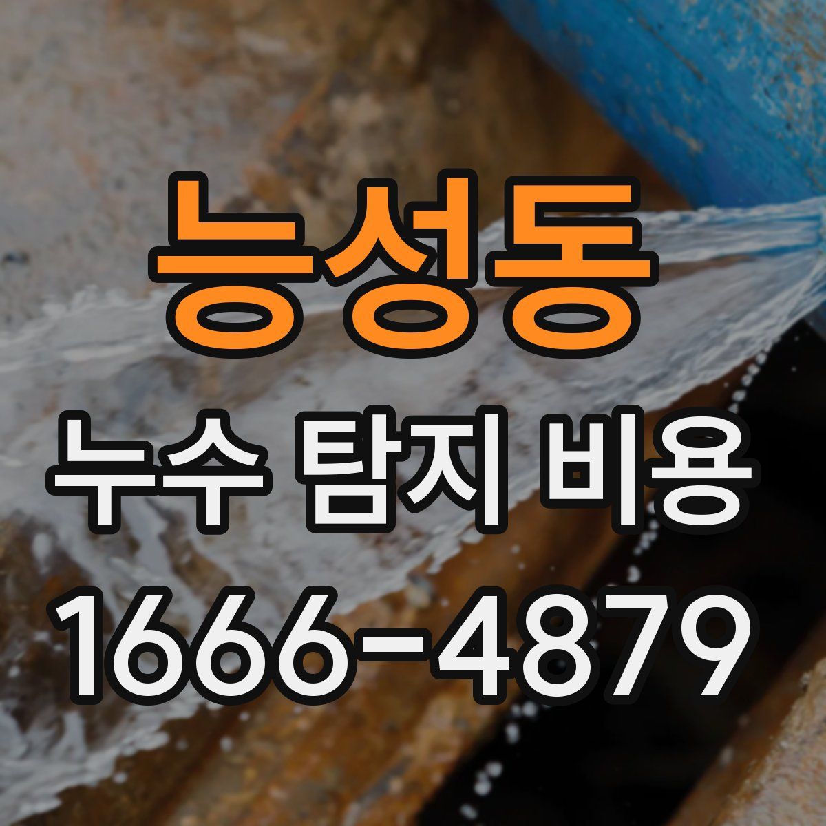 능성동 누수 탐지 비용