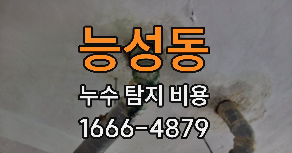 능성동 누수 탐지 비용