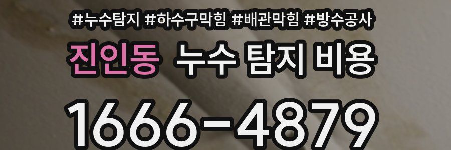 진인동 누수 탐지 비용