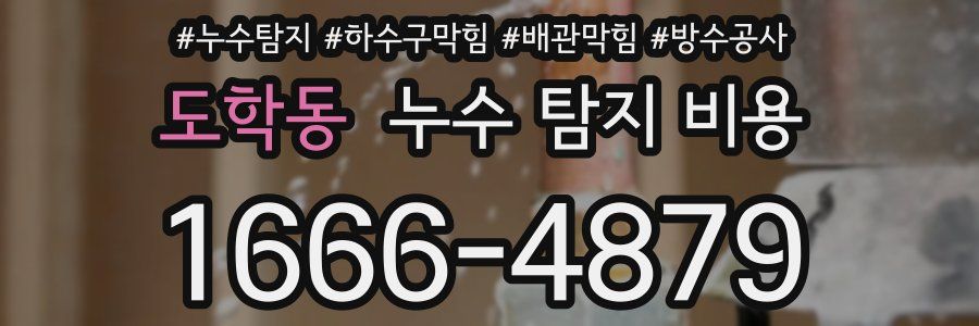 도학동 누수 탐지 비용
