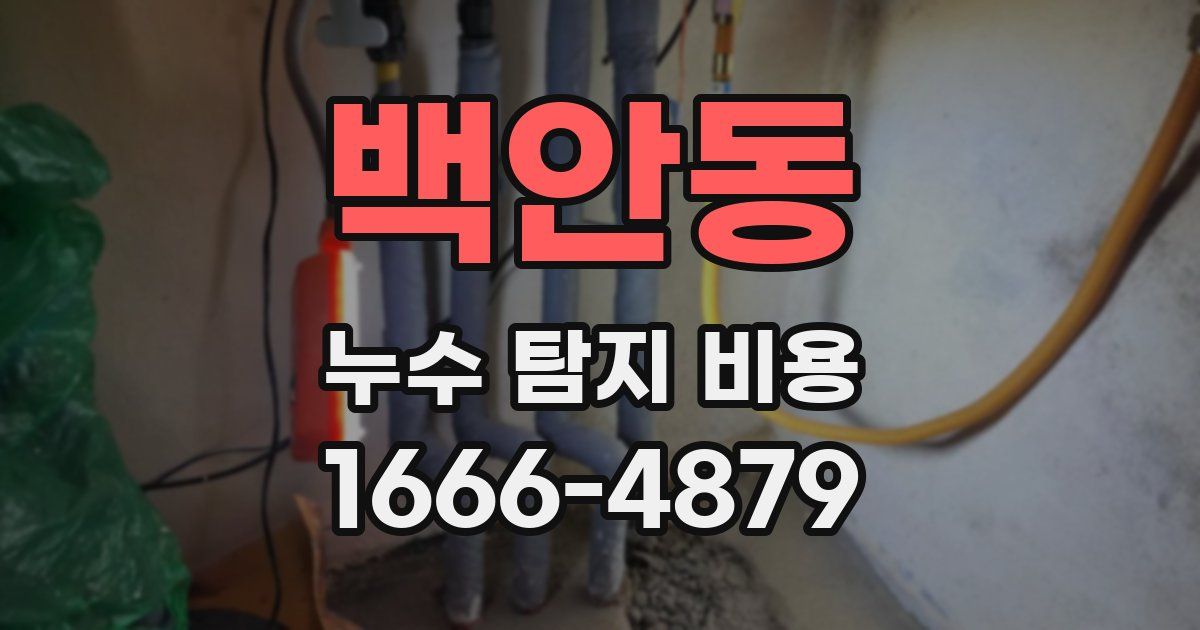 백안동 누수 탐지 비용
