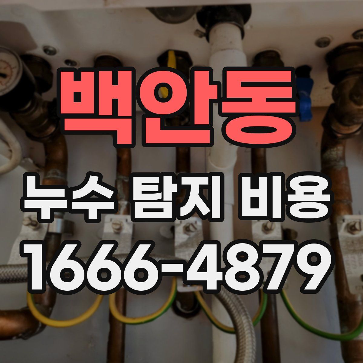 백안동 누수 탐지 비용