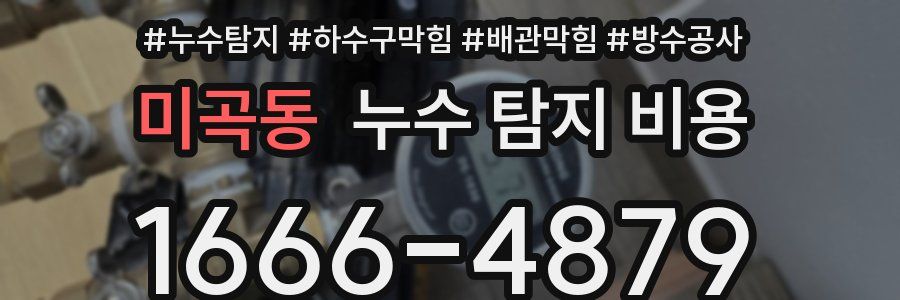 미곡동 누수 탐지 비용